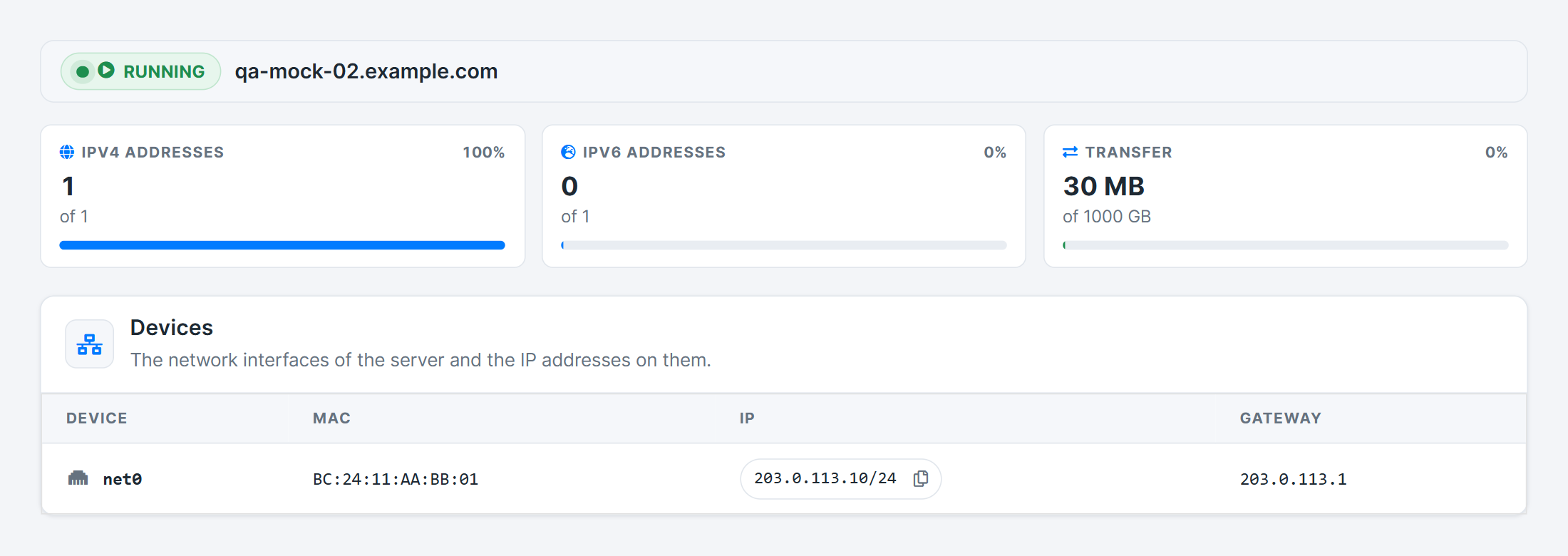 Networking tab: IPv4, IPv6 and transfer usage bars, and the network device with its IP address and a copy button