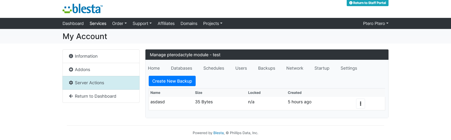 Backups tab: create and manage on-demand server backups