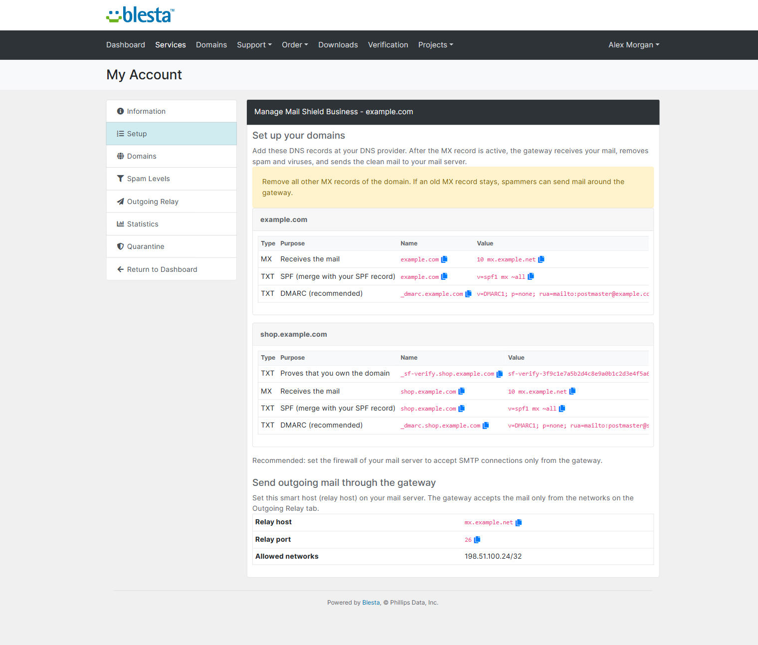 Client Setup tab with the verification, MX, SPF and DMARC records and copy buttons