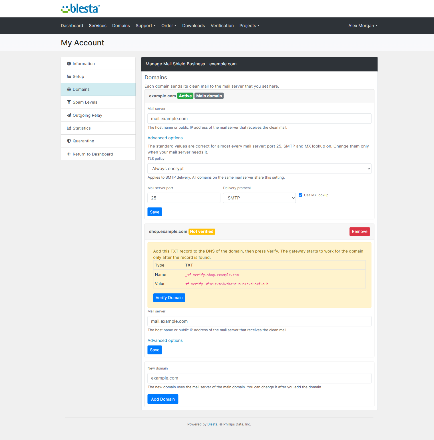 Client Domains tab with the Verify Domain block and the Advanced delivery options