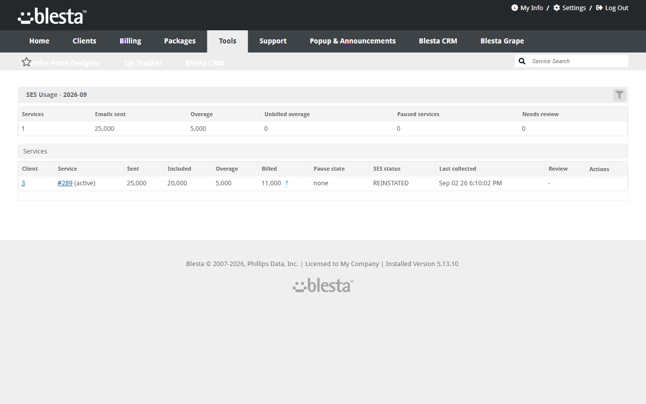 Tools > SES Usage page with the monthly summary and the per-service rollup table
