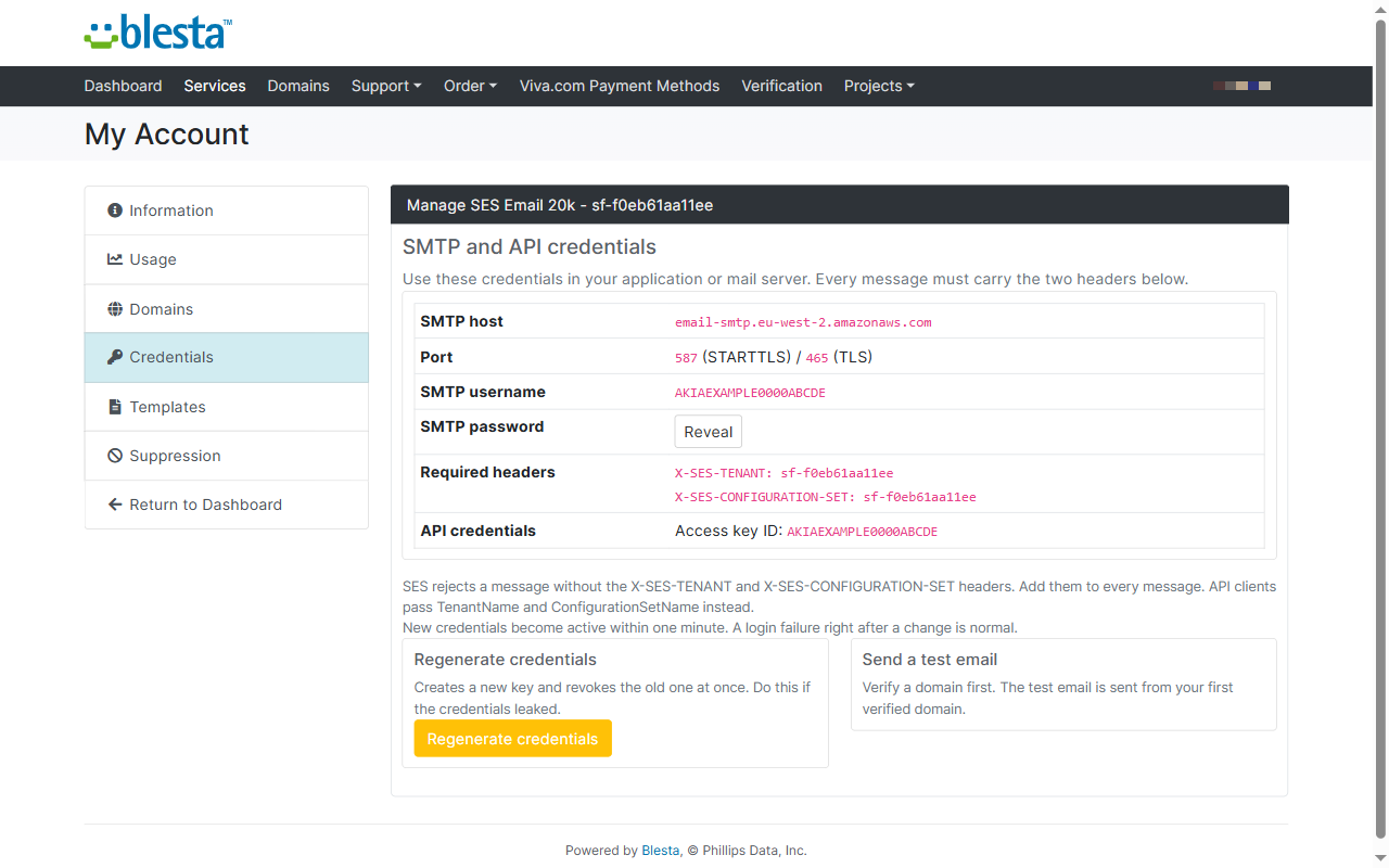 Client Credentials tab with SMTP host, username, required headers, key rotation, and test email