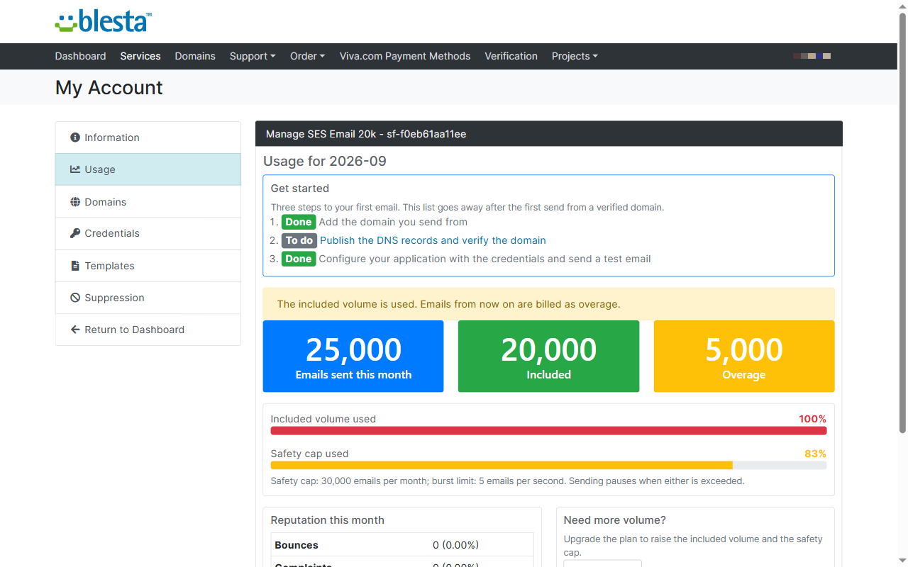 Blesta client area Usage tab with emails sent, included volume, overage, and safety cap progress bars